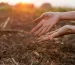 Paving the Way for Measurable Corporate Sustainability